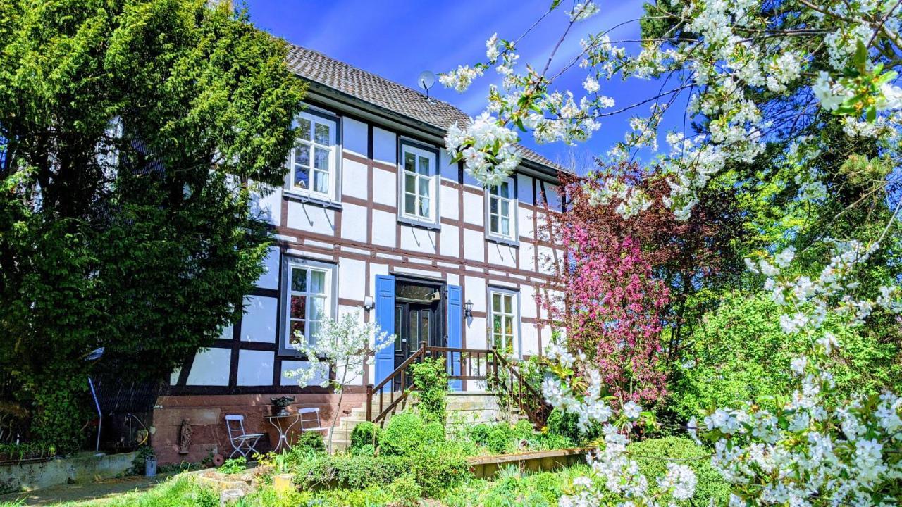 Villa Ferien im Pfarrhaus Bad Wildungen Exterior foto